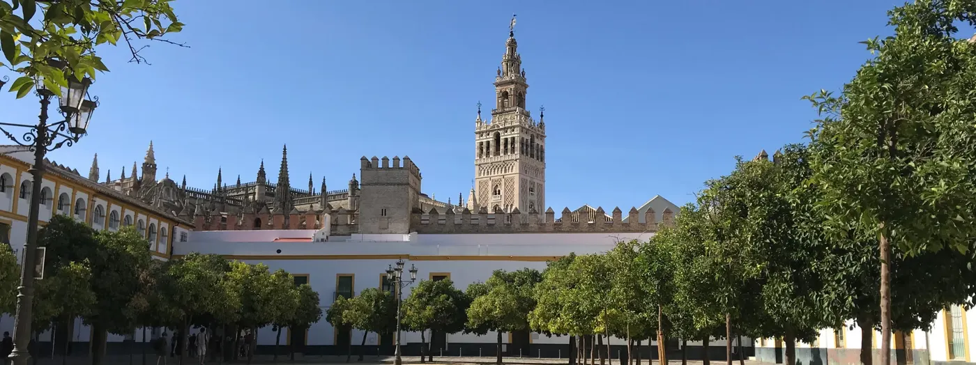 Orange trees of the Patio de Banderas with the Giralda tower rising above Seville's old town